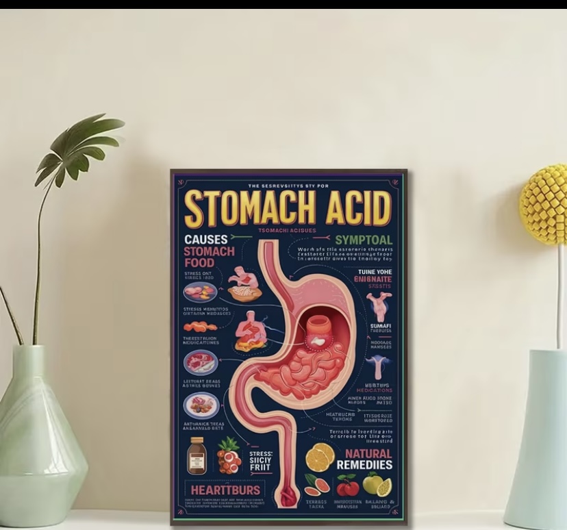 Retro Stomach Acid Education Poster