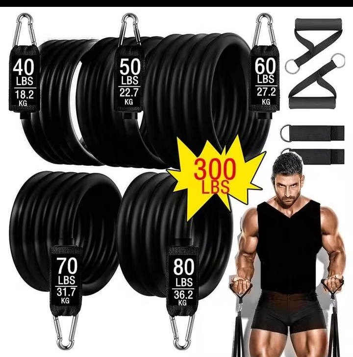 Portable Home Gym Resistance Band Kit, 300LB Exercise Bands for Muscle Building & Fitness