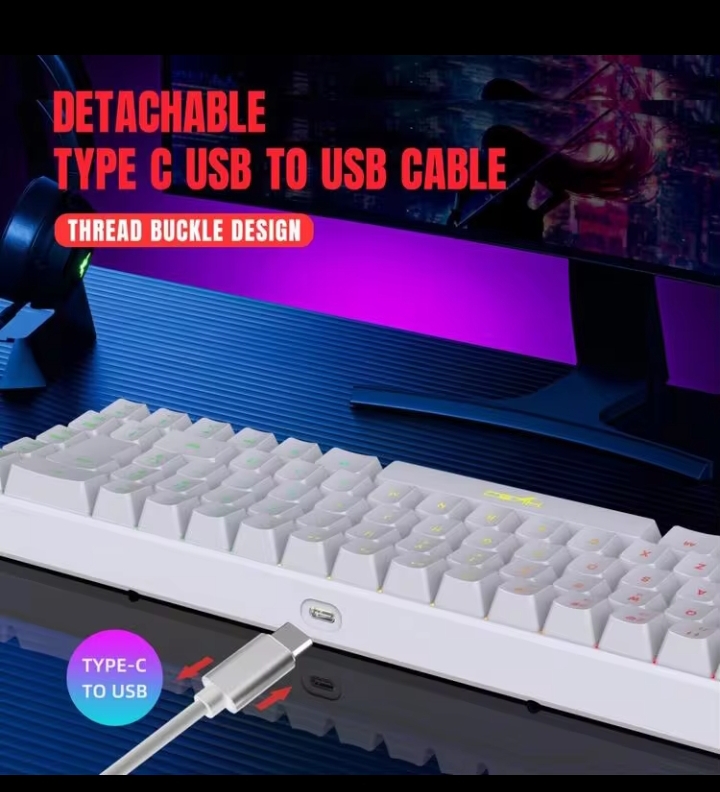 HXSJ V200 68-Key Wired RGB Membrane Keyboard with USB-C Detachable Cable, Compact Gaming & Office Keyboard for PC, Laptop and Home Use 3