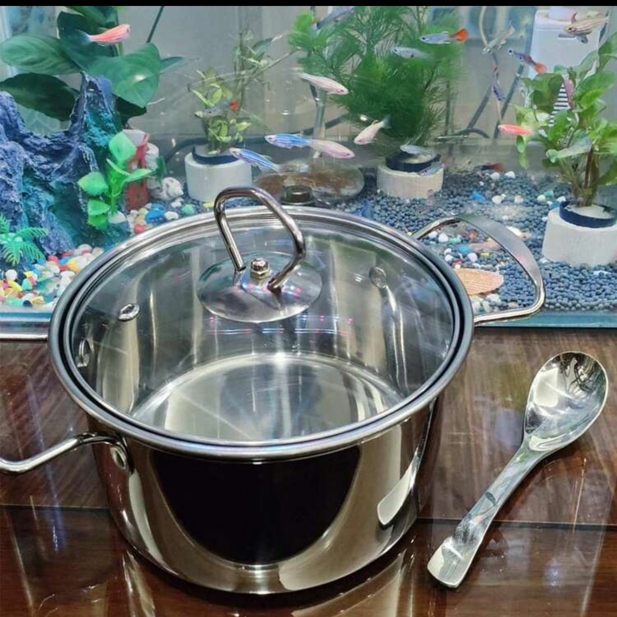 Classic Mirror-Polished Stainless Steel Casserole Pot with Tempered Glass Lid