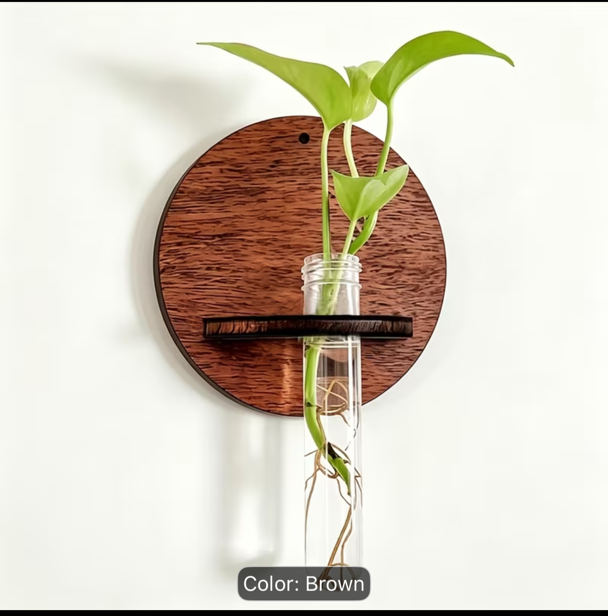Round Walnut Brown Wooden Wall Mount Holder – Minimalist Single Ring Display Shelf (10cm / 3.93in) 3